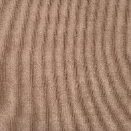 Tissu Velours Côtelé Taupe 