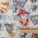 Tissu Jacquard Paw Patrol Multico  