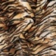 Tissu Polaire Imprimé Tigre Caramel et noir