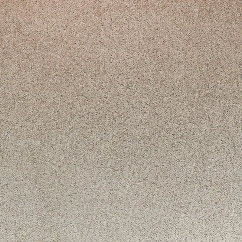 Tissu Velours Frappé Ourson Taupe